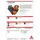 Hase Safety Hase Power Grip, 11,