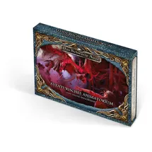 Ulisses Spiele DSA5 Spielkartenset Aventurisches Animatorium