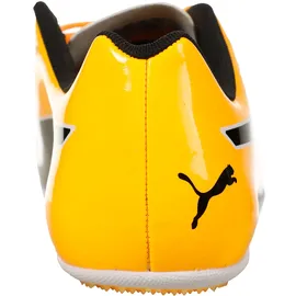Puma Evospeed Sprint 14,5 Indoor Herren orange/schwarz 47