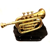 Brass-India Messing-Trompete, Messing-Finish, tolle Klänge, hochwertige Bb mit Etui und MP-Gold