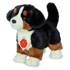 Teddy-Hermann  Berner Sennenhund Welpe