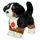 Teddy-Hermann  Berner Sennenhund Welpe