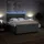vidaXL Boxspringbett 180 x 200 cm Dunkelgrau