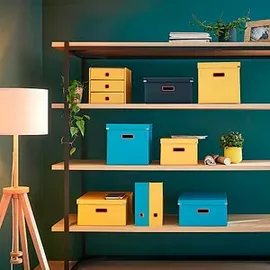 Leitz Click & Store Cosy Aufbewahrungsbox mittel, A4, gelb
