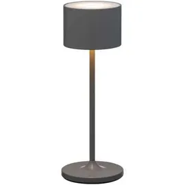 BLOMUS Mobile LED-Leuchte FAROL Mini warm gray