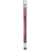 Color Sensational Lipliner 338 Midnight Plum