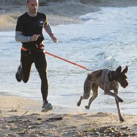 I-DOG Canicross X-back Hundegeschirr - Orange - S