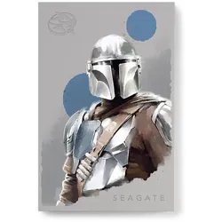 Seagate FireCuda Gaming HDD +Rescue - The Mandalorian Special Edition 2TB