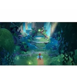 Switch Videospiel FAEFARM - Transparent