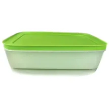 Tupperware Gefrier-Behälter 1,0 L weiß grün flach Eis-Kristall G36 Eiskristall