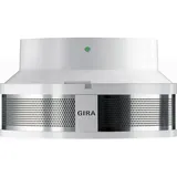 Gira Dual Q 233702 inkl. Sockel 230 V