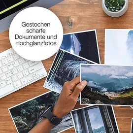Epson 603XL Seestern  CMYK