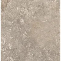 Euro Stone Bodenfliese Feinsteinzeug 60 x 60 cm