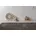 Padiro Teppich BRIDGET 125", - braun