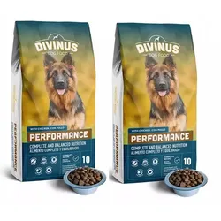Divinus Performance für Deutsche Schäferhunde 2x10kg