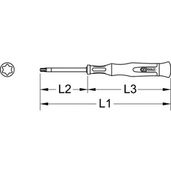 Feinmechanik-Schraubendreher für Torx-PLUS-Schrauben, IP2