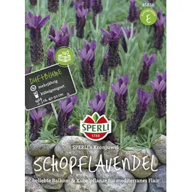 Sperli Schopflavendelsamen Kronjuwel Lavandula stoechas 45 Pflanzen