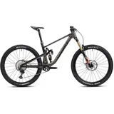 Ghost Bikes Riot Am Cf/cf 160/140 Full Party 29 ́ ́ Xt 2023 Mountainbike Grau L Grau L - Grau