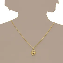 Ostsee-Schmuck Kette mit Anhänger Tierkreiszeichen Steinbock Gold 333