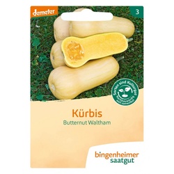 Bingenheimer Saatgut Kürbis Butternut Waltham