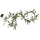 Star Trading LED Girlande 180 cm Braun/Grün