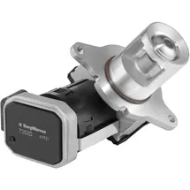 BorgWarner (Wahler) Borgwarner AGR-Ventil 7353D