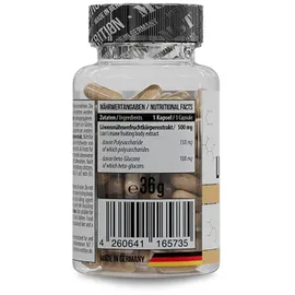 MST Lion’s Mane Mushroom Kapseln 60 St.