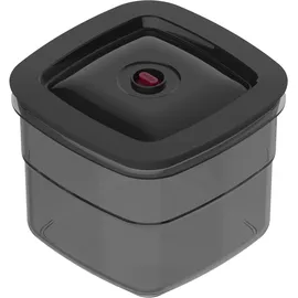 Bora QVac Vakuumierboxen 2x 2 Liter Transparent