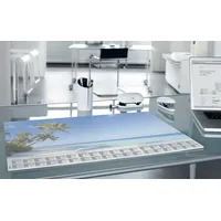 Sigel Schreibtischunterlage Schreibunterlage 'Beach' Papier 59,5x41cm Kalender 30 Blatt Packung mi bunt