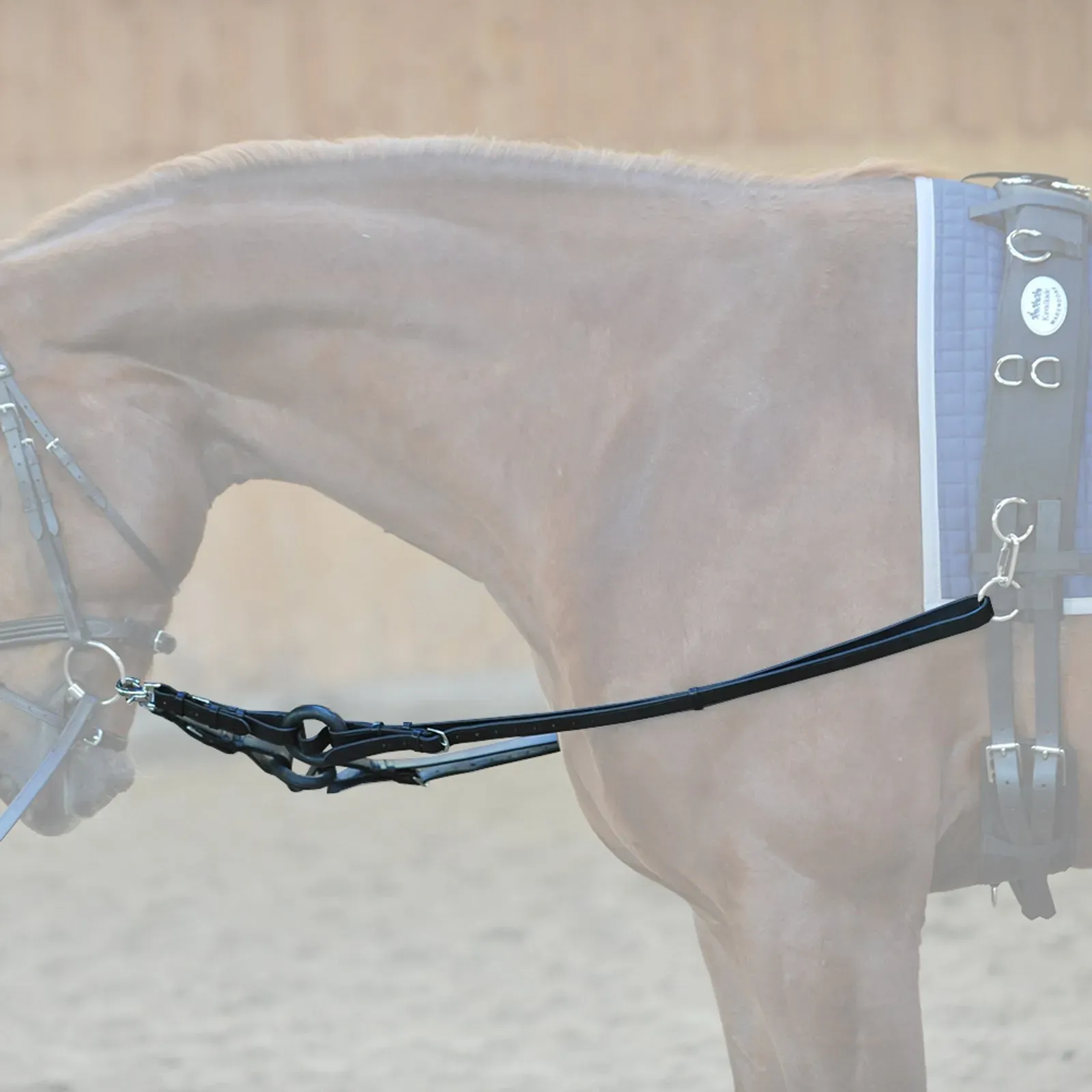 Kavalkade Ausbinder