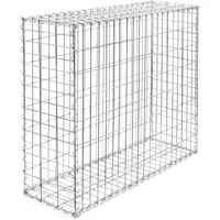 Wiltec Gabione 100 x 80 x 30 cm