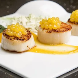 Rommelsbacher Perlino Food Designer FD 500