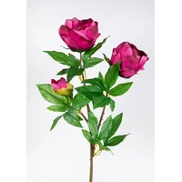 Seidenblumen Roß Pfingstrose Nature 68cm Fuchsia GA Kunstblumen Seidenblumen