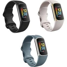 Fitbit Charge 5 schwarz/edelstahl graphit