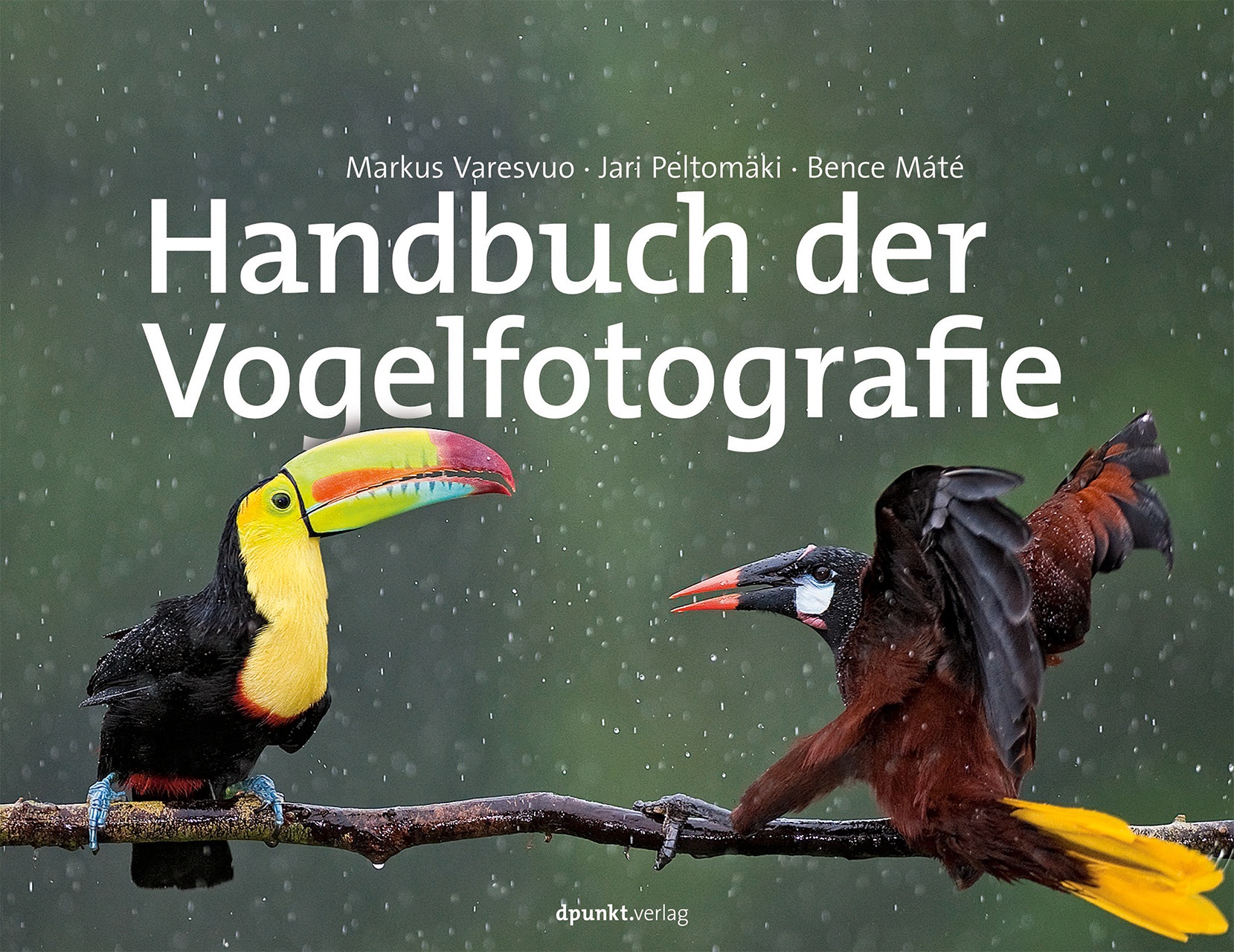Handbuch Der Vogelfotografie - Markus Varesvuo  Jari Peltomäki  Bence Máté  Gebunden