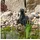 esotec Wasserspeier Seehund Sammy