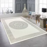 Teppich-Traum Wohnzimmer Schlafzimmer Teppich Kurzflor Designerteppich Orient modern edel elegant glänzend Creme grau 160x230 cm