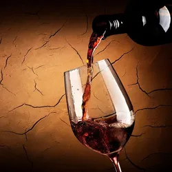 EUROART Glasbild 30 x cm Red wine IV Glas Braun