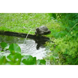 UBBINK Wasserspeier Schildkröte