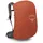 Osprey Stratos 34 Rucksack Grau