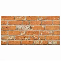 vidaXL Wandpaneel Ziegel Braun 10 St. 100 x 50 cm