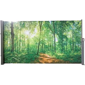 deluke Seitenmarkise FABI Motiv Waldlichtung 0 x 0 cm Mehrfarbig Polyester