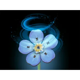 REVELL Holzblumen Flowers Blossom Festival mit Vase & Duftring