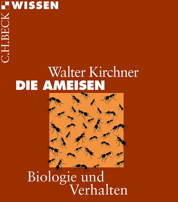Die Ameisen - Walter Kirchner  Taschenbuch