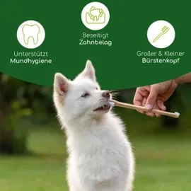 Wolfsbacher Natur Zahnbürste aus Bambus 2 St.