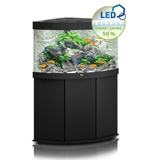 Juwel Trigon 190 LED mit Unterschrank SBX