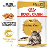 Royal Canin Mainecoon 24x85 g