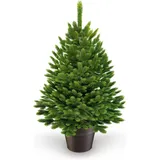 artitree Weihnachtsbaum künstlich Nordfichte im Topf 40 cm