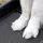 Karlie Flamingo Gentle Step