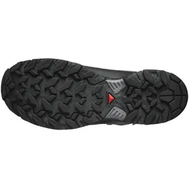 Salomon X Ultra 360 GTX Herren Black / Magnet / Quiet Shade 45 1/3
